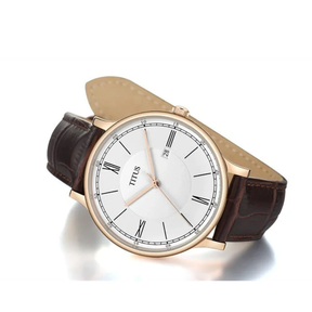 [MEN] Classicist 3 Hands Quartz Leather Watch [W06-03044-006]